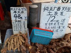 -晓港公园