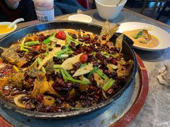 老板恋上鱼-老板恋上鱼(恒隆广场店)