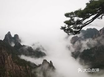 记录2021我的超长春天之黄山