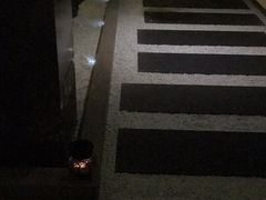 -南美元生态大酒店(海珠店)