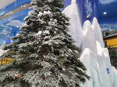 -长沙湘江冰雪世界