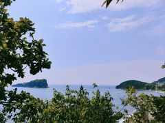 -棒棰岛宾馆景区