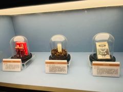 -岳阳市博物馆