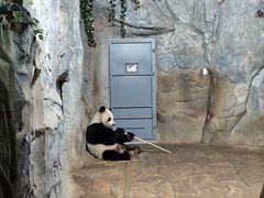 -深圳野生动物园