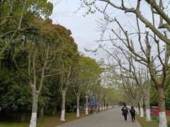 -上海鲜花港