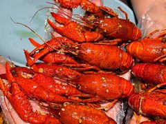 -北京食堂·烤鸭·宵夜(亚运村店)