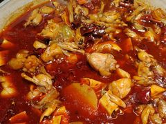 -美蛙四季(亦庄店)