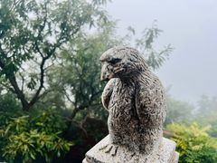 -海上云台山景区