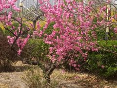 -丰台花园