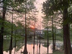 -华南国家植物园-售票处