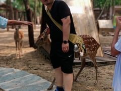 -南戴河国际娱乐中心