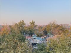 -大碗居·烤鸭·鱼头泡饼(天坛东门店)