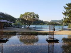 -白云湖畔酒店-湖畔餐厅