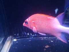 -五缘湾悦都汇购物中心