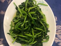 清炒豆尖-富乐山酒店(西黄城根北街店)