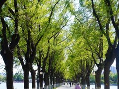 -北陵公园