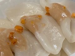 -汕尾菜粿(向西老店)