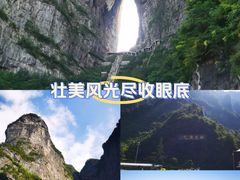 -张家界天门山国家森林公园
