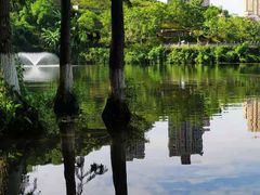 -重庆彩云湖湿地公园