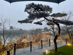 -新荣记(西溪湿地店)