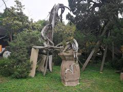 -司徒庙
