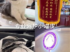 -宠爱国际动物医院·疑难骨科·心肾内科·皮肤科(太阳宫店)