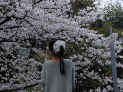 -杭州少年儿童公园