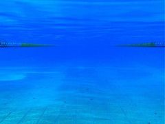 -柳浪游泳场