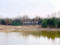 景点-永定河休闲森林公园