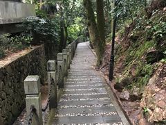 -十八棵（老龙井）御茶园(老龙井店)