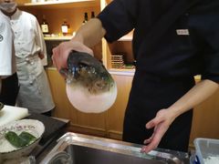 -鲤·鮨KOISUSHI