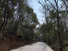 -岳麓山风景名胜区