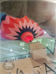 -卡通尼·Safari非洲探索乐园·生日会(金桥国际商业广场店)