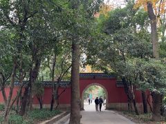 -灵谷景区