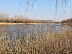 -稻香湖景欢乐岛温泉城堡