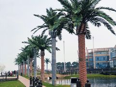 -太湖月亮湾