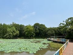 -七桥瓮公园