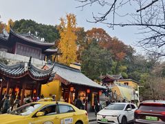 -鸡鸣赐茶(鸡鸣寺路店)