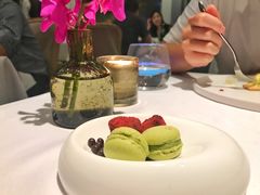 -蝶舍·MAISON PAPILLON