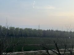 -洨河生态公园