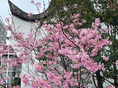 -乌山风景区