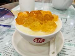 桃胶双皮奶-仁信老铺(华盖路店)