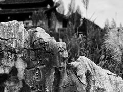 -青岩古镇