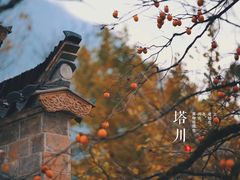 -塔川景区