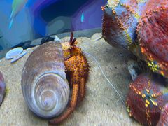 -欢乐海岸海洋奇梦馆
