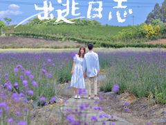 -紫颐香薰山谷景区