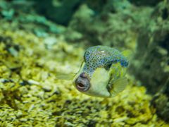 -福州罗源湾海洋世界旅游区