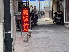-老婆婆炒饭(小白楼1902欧式风情街店)