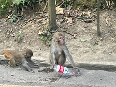 -黔灵山公园