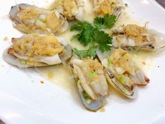 象鼻丰蒜蓉粉丝-海港酒楼·平价海鲜·茶点(小公园店)